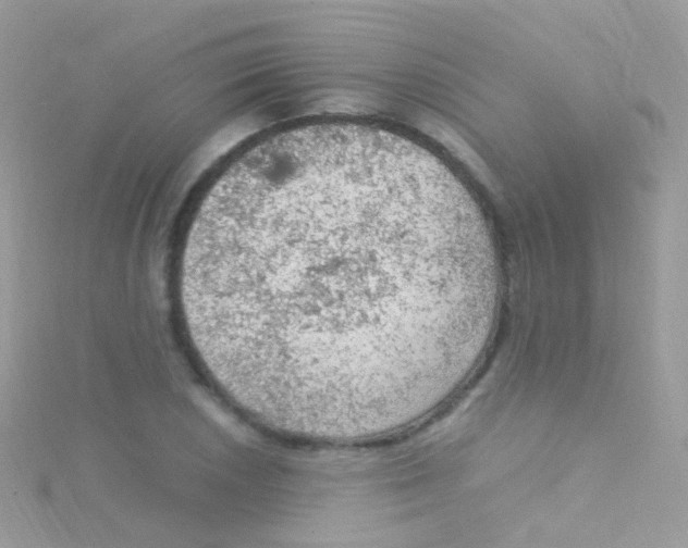 X0000115061026200911231210