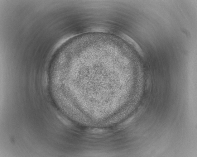 X0000115061027200911231210