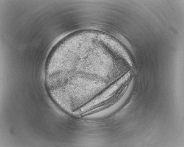 X0000115061028200911231210