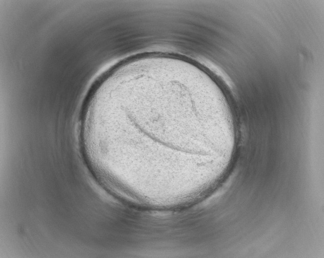 X0000115061029200911231210