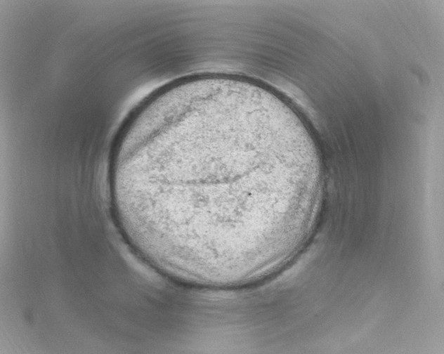 X0000115061030200911231211