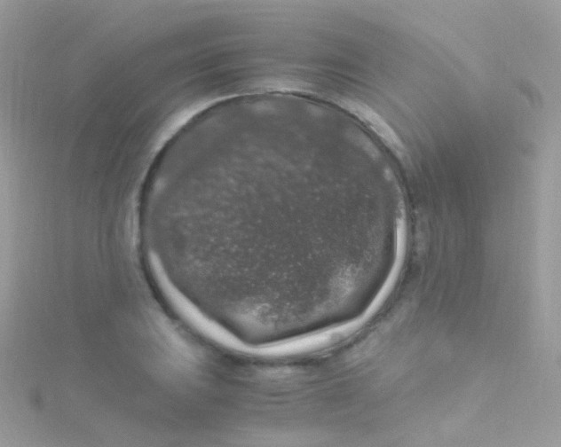 X0000115061031200911231211