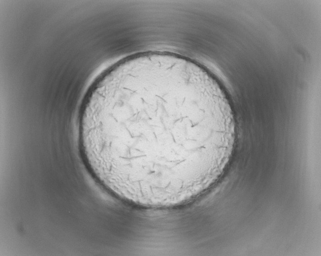 X0000115061032200911231211