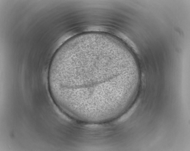 X0000115061033200911231211