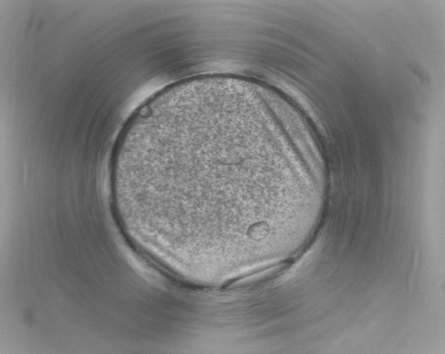 X0000115061034200911231211