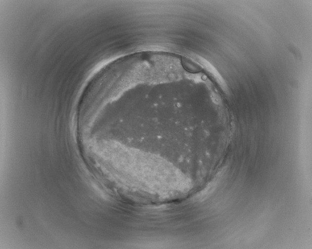 X0000115061035200911231211