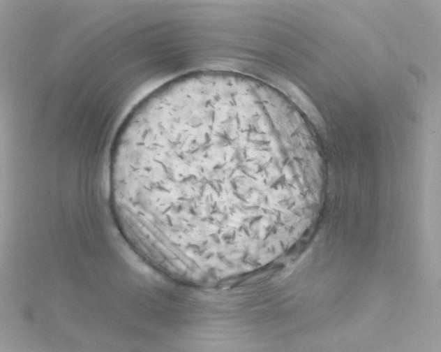 X0000115061036200911231211