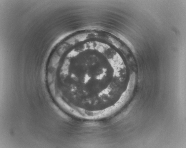 X0000115061037200911231211