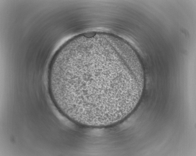 X0000115061038200911231211