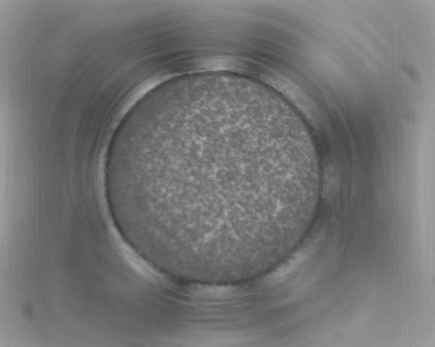 X0000115061039200911231211