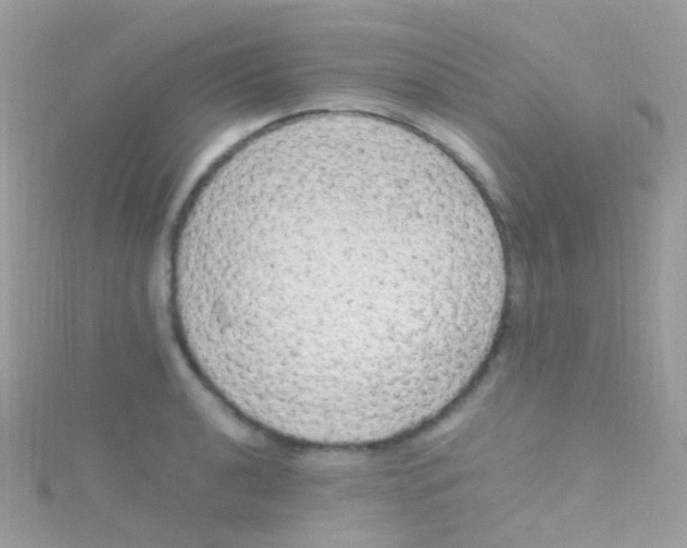 X0000115061040200911231211