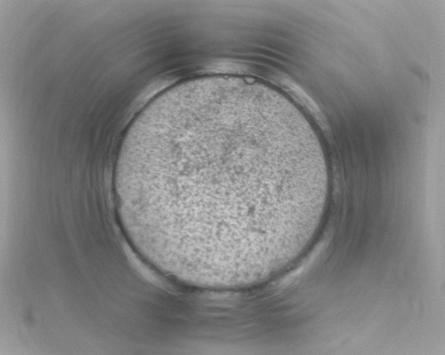 X0000115061041200911231211