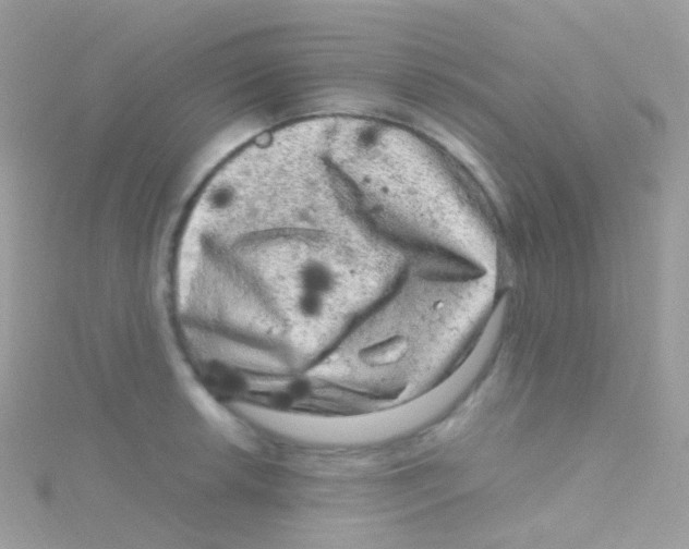 X0000115061042200911231211