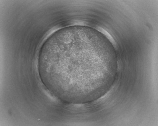 X0000115061043200911231211