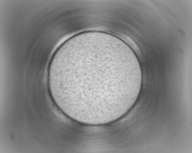 X0000115061044200911231211