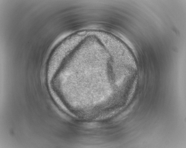 X0000115061045200911231211