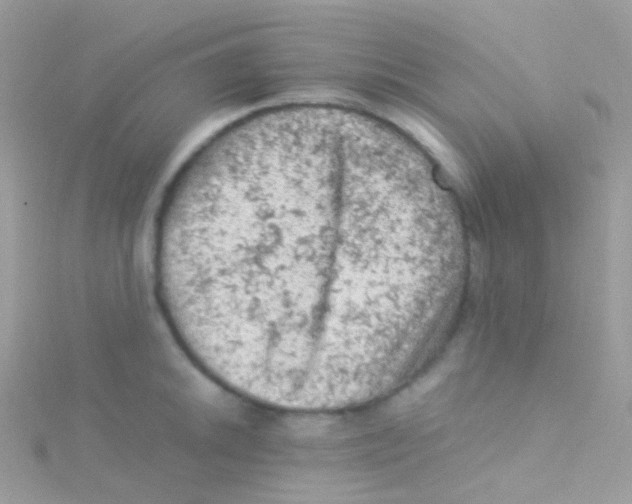 X0000115061046200911231211