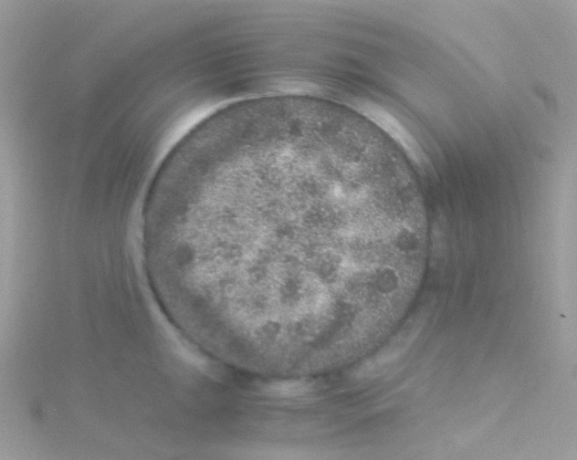 X0000115061047200911231211