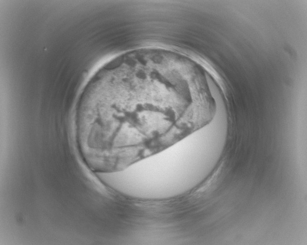 X0000115061048200911231211