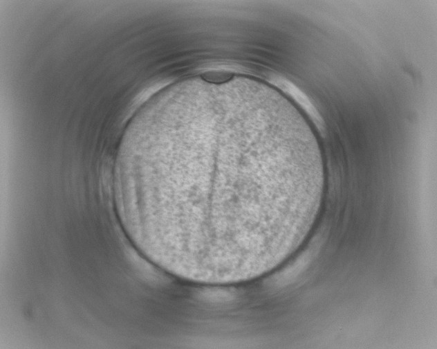 X0000115061049200911231211