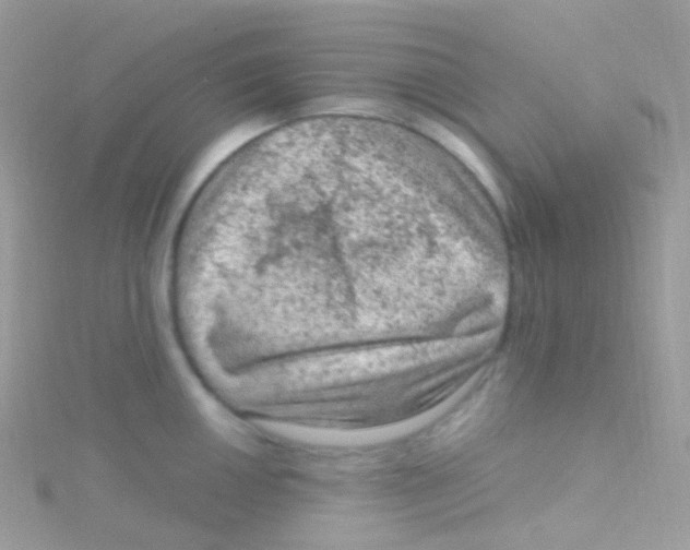 X0000115061050200911231211