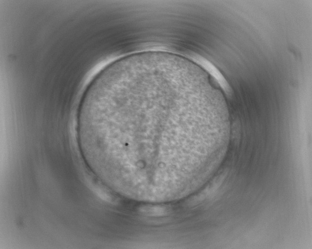 X0000115061051200911231211