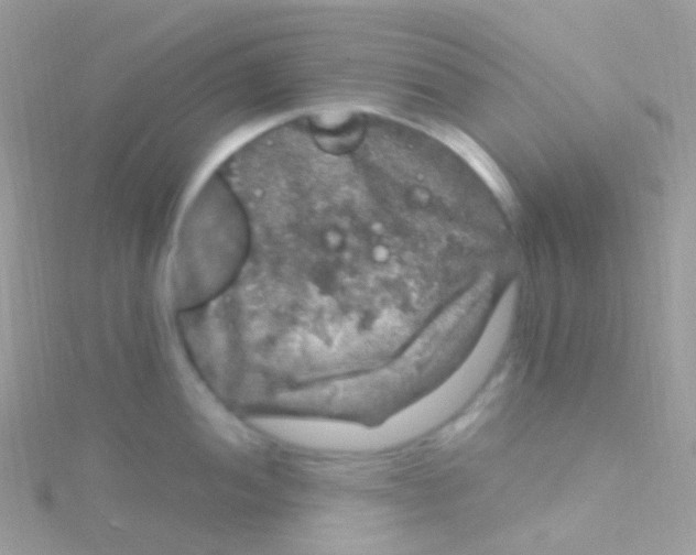 X0000115061052200911231211