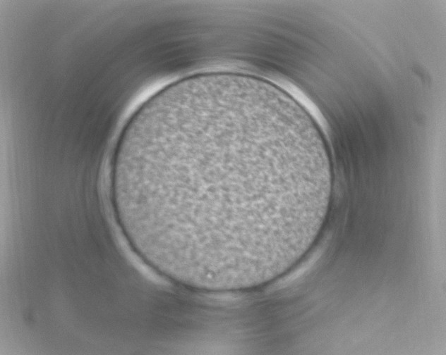 X0000115061053200911231211