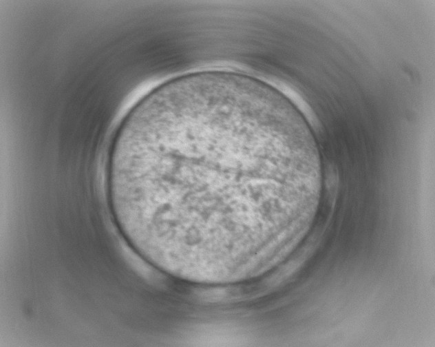 X0000115061054200911231211