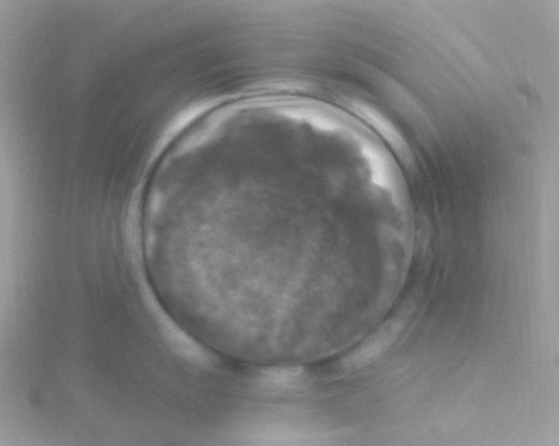 X0000115061055200911231211