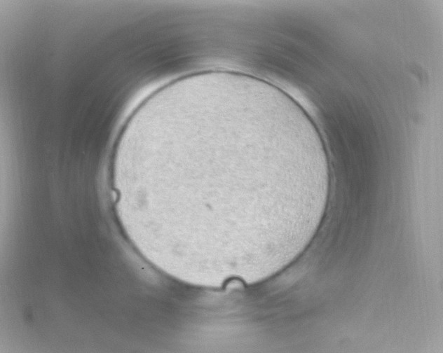 X0000115061056200911231211