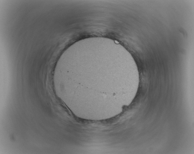 X0000115061057200911231210