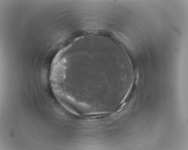 X0000115061060200911231210