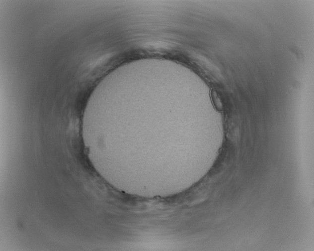 X0000115061061200911231210