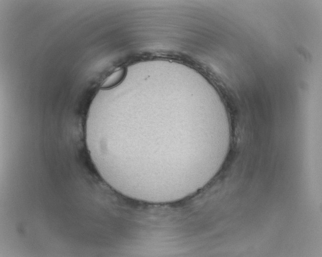 X0000115061062200911231210