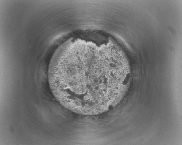 X0000115061063200911231210