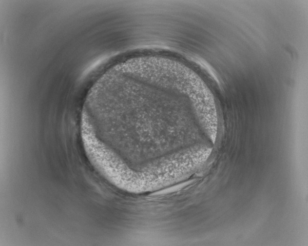 X0000115061064200911231210