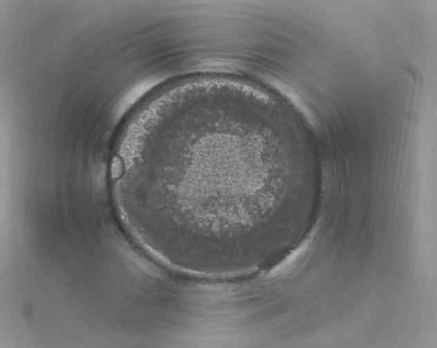 X0000115061066200911231210