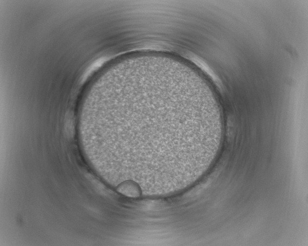 X0000115061067200911231210