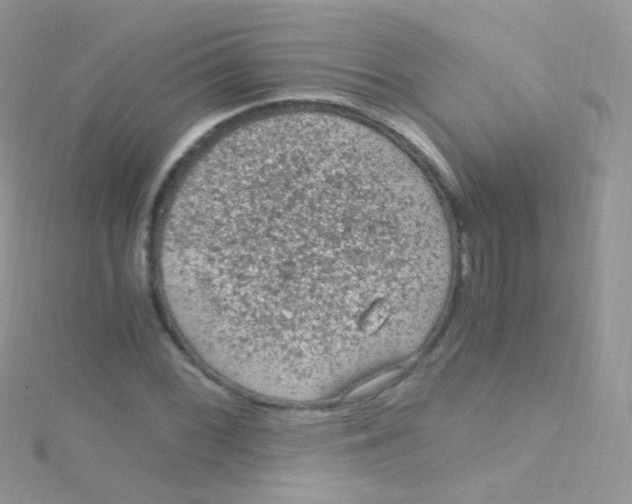 X0000115061068200911231210