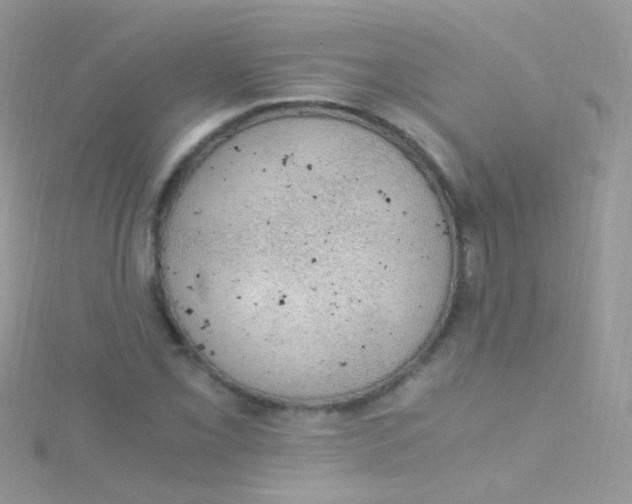 X0000115061069200911231210