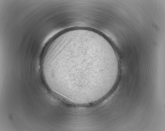 X0000115061070200911231210