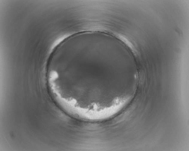 X0000115061071200911231210