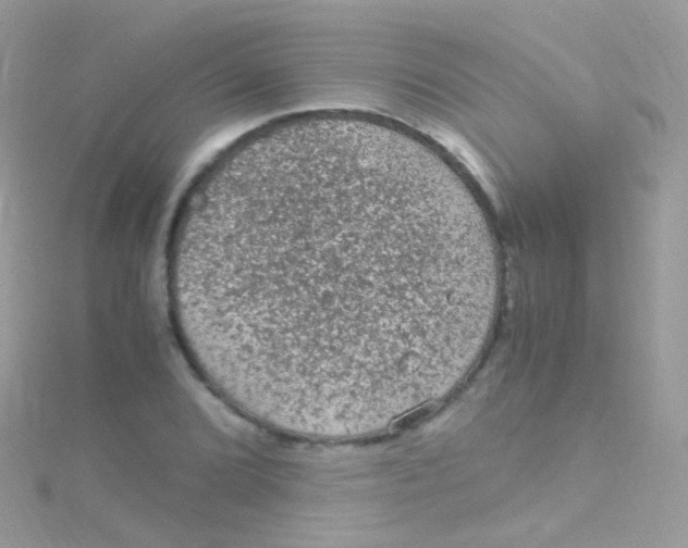 X0000115061072200911231210