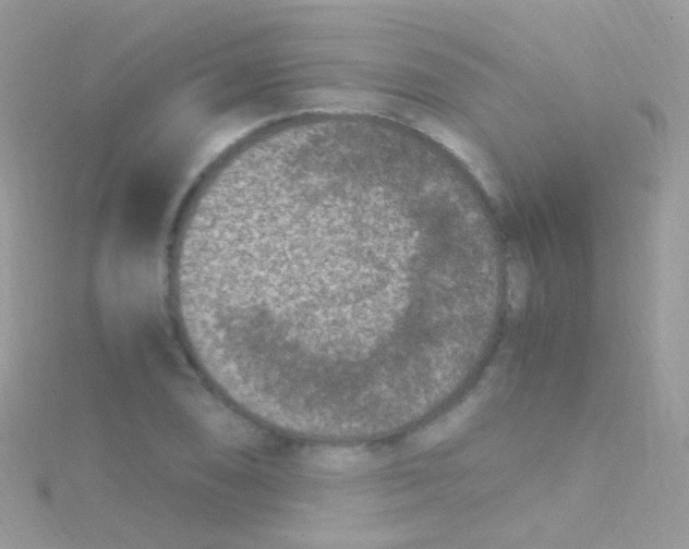 X0000115061074200911231210