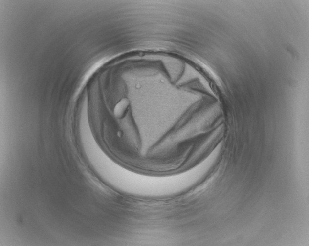 X0000115061075200911231210