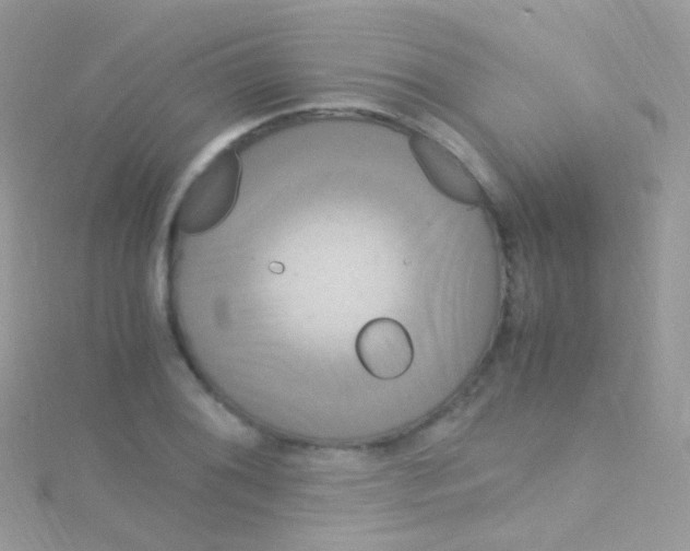 X0000115061076200911231210