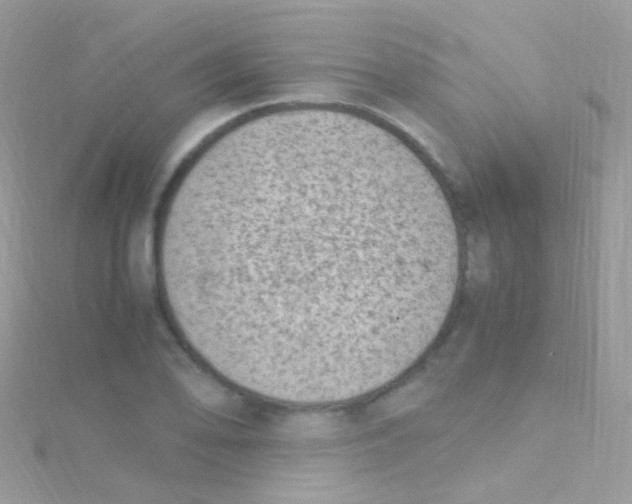 X0000115061078200911231210