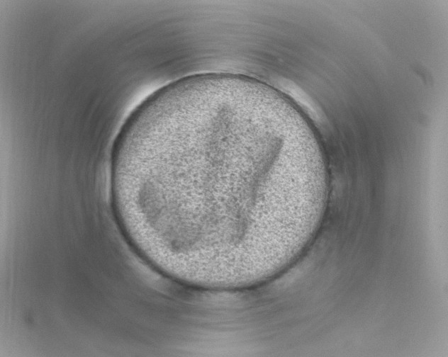 X0000115061079200911231210