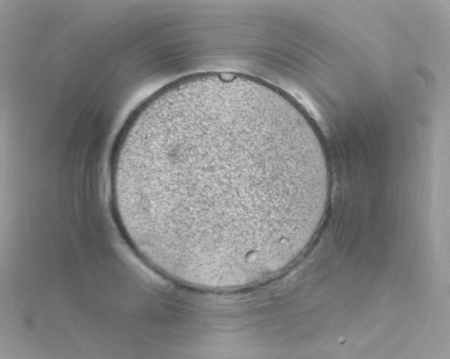 X0000115061080200911231210